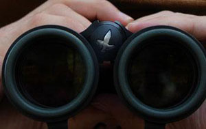 Swarovski & Vortex Binoculars by The Safari Store